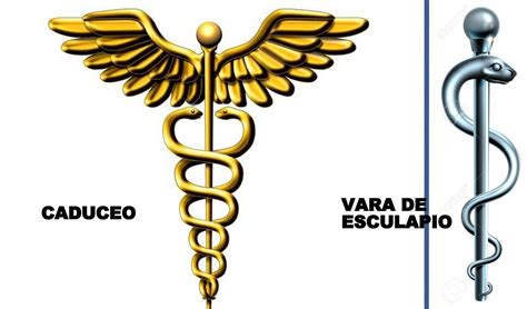 caduceu de esculápio|bastão de esculápio símbolo medicina.